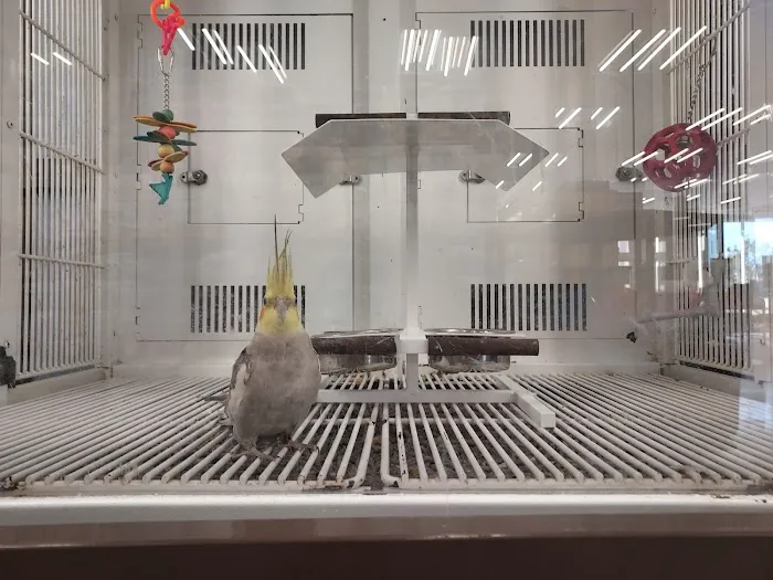Petco Picture 5