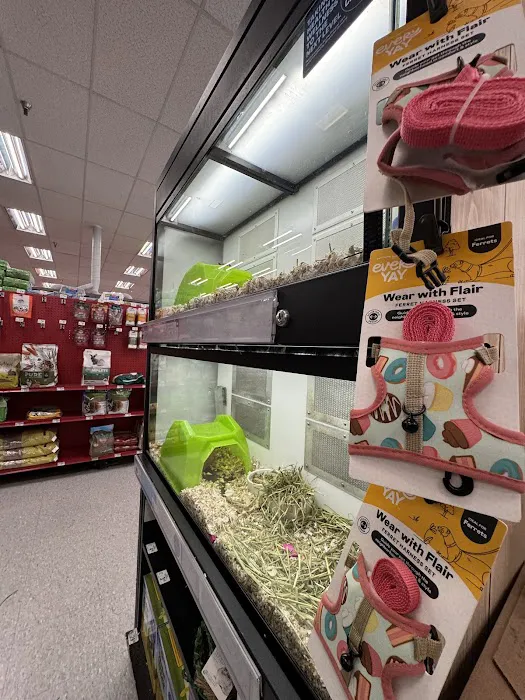 Petco Picture 9