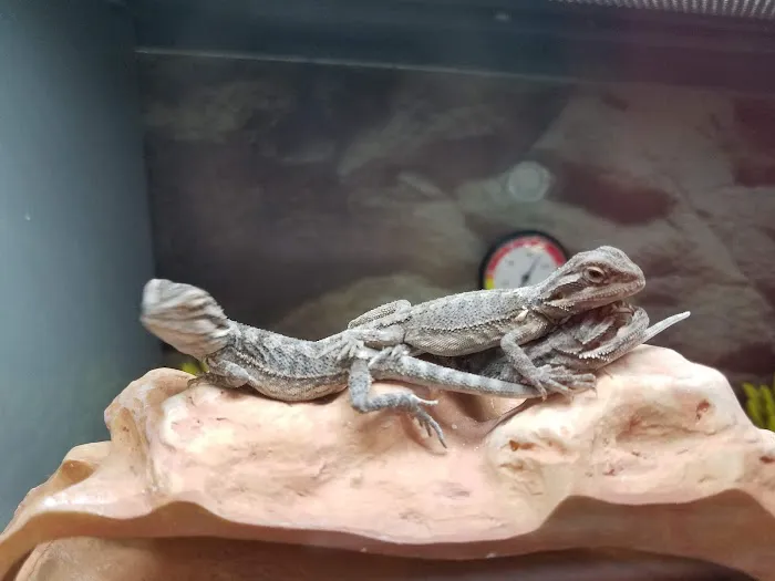 Petco Picture 2