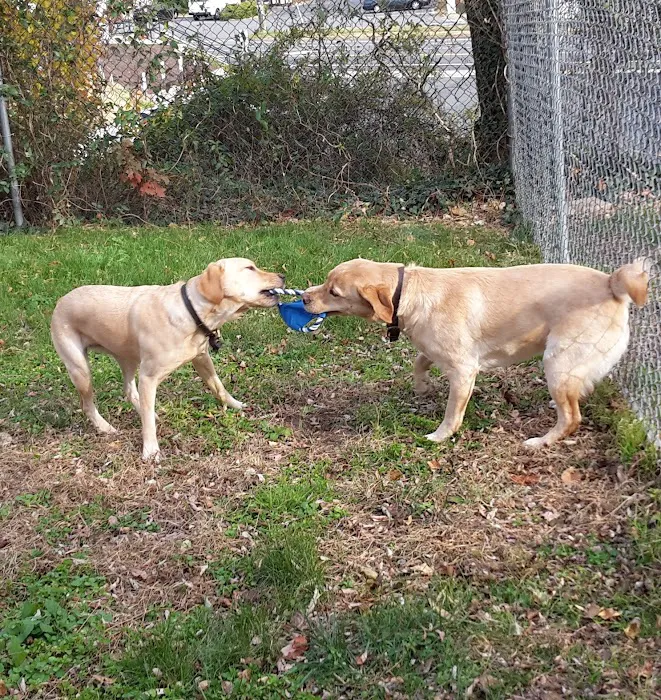 Sunshine Animal Hospital Picture 5