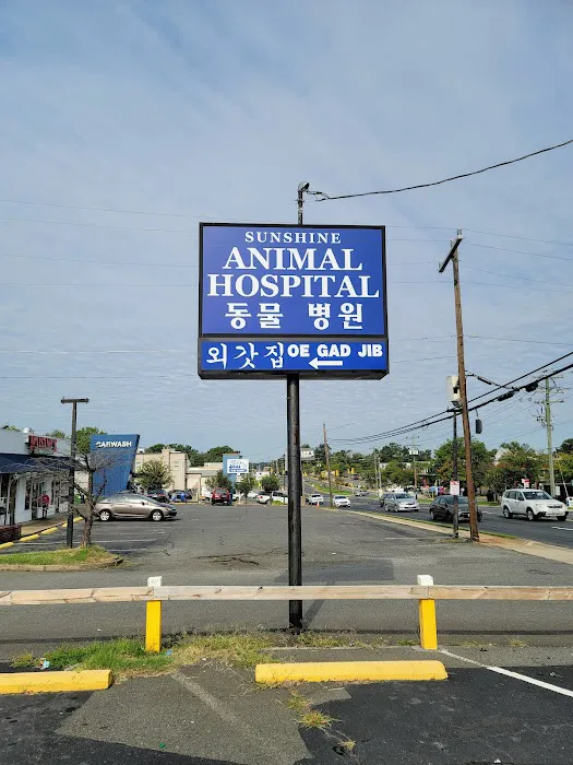 Sunshine Animal Hospital Picture 4