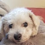 Sunshine Animal Hospital