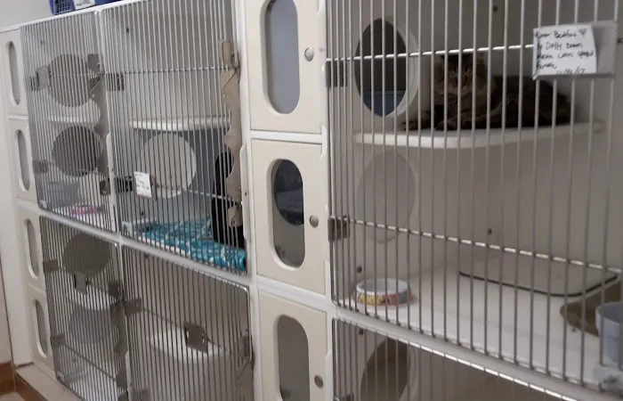 Sunshine Animal Hospital Picture 8