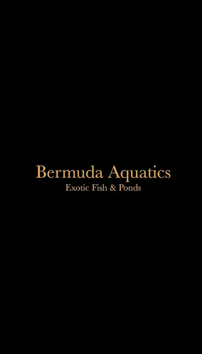 Bermuda Aquatics Exotic Fish & Ponds Picture 10