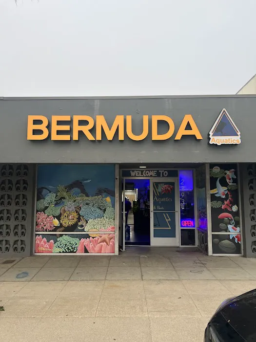 Bermuda Aquatics Exotic Fish & Ponds Picture 1