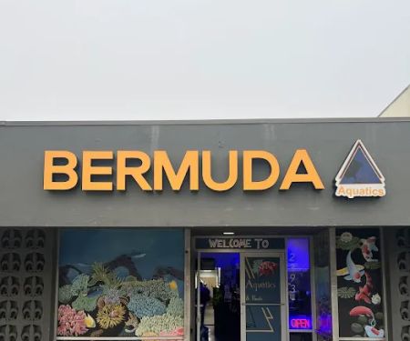 Bermuda Aquatics Exotic Fish & Ponds