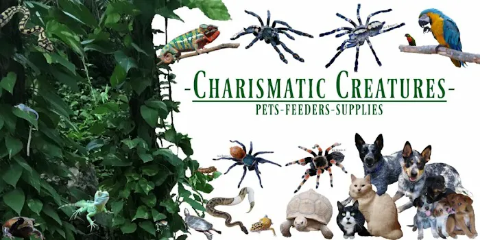 Charismatic Creatures Picture 2