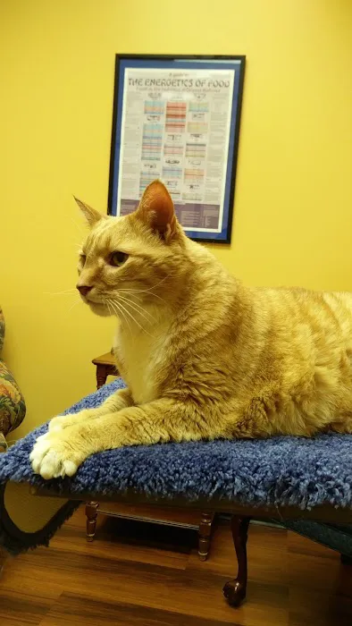 Healing Point Veterinary Acupuncture Picture 3