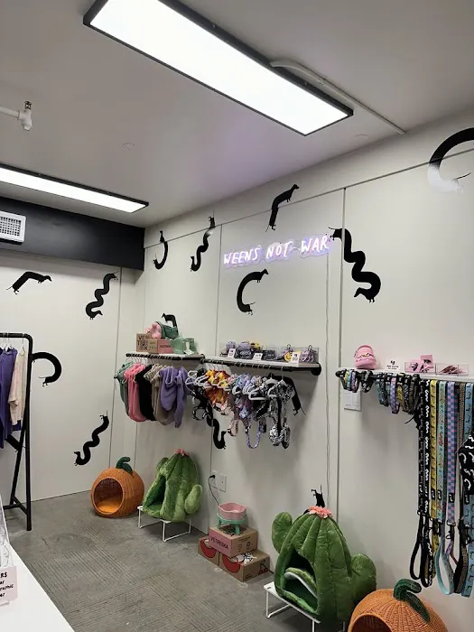 bean goods Picture 10