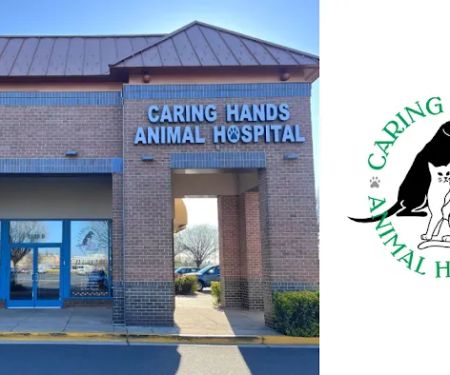 Caring Hands Animal Hospital - Merrifield