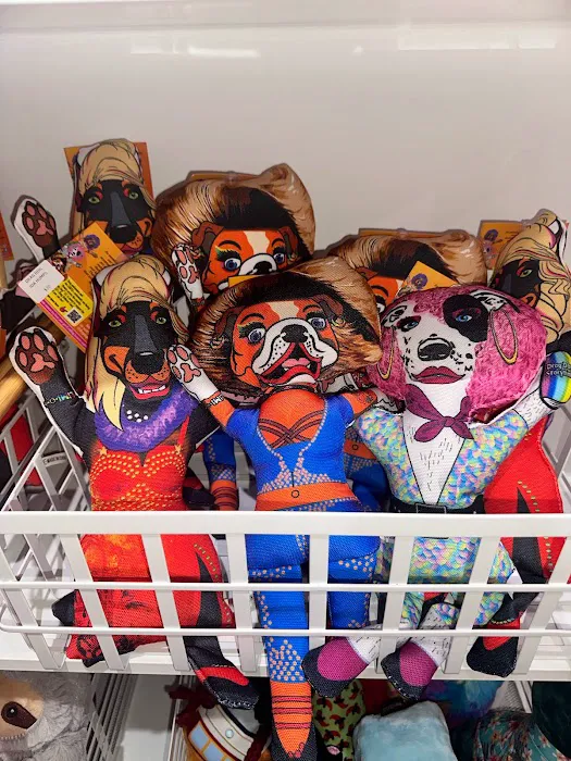 Disco Dog Picture 1