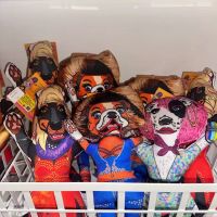Disco Dog ico