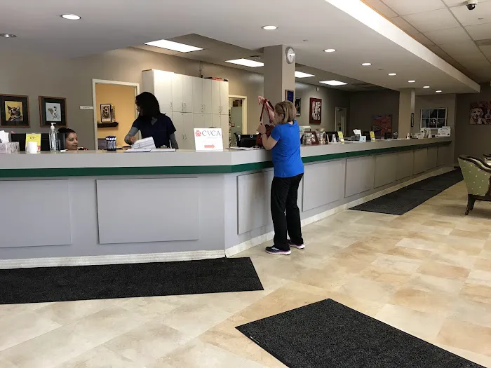 VCA SouthPaws Veterinary Specialists & Emergency Center Picture 1