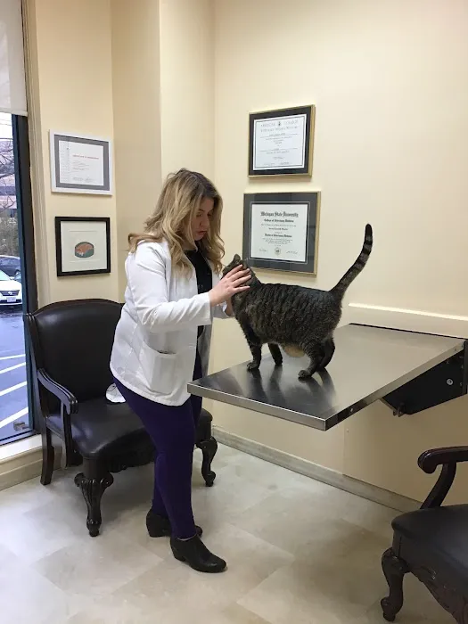 VCA SouthPaws Veterinary Specialists & Emergency Center Picture 8