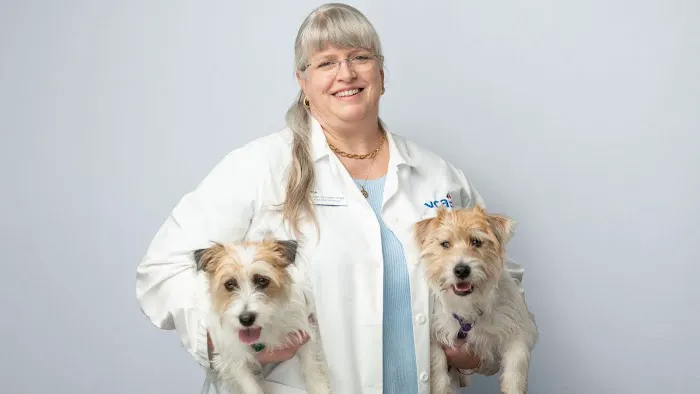 VCA SouthPaws Veterinary Specialists & Emergency Center Picture 7