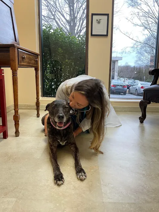 VCA SouthPaws Veterinary Specialists & Emergency Center Picture 4