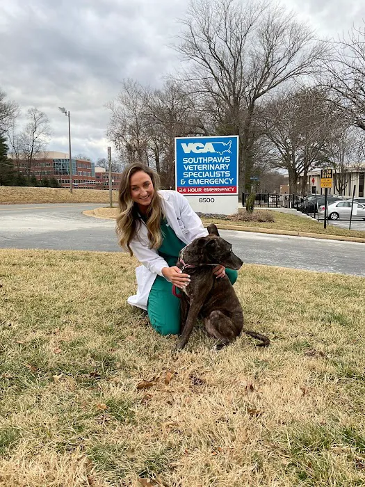 VCA SouthPaws Veterinary Specialists & Emergency Center Picture 6