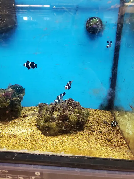 Petco Picture 2