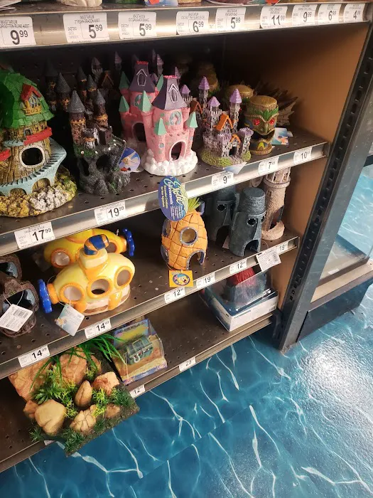 Petco Picture 3