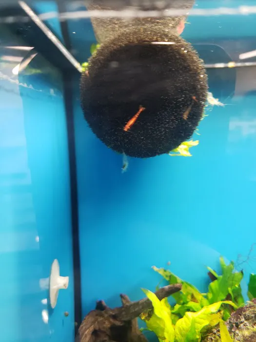 Petco Picture 1