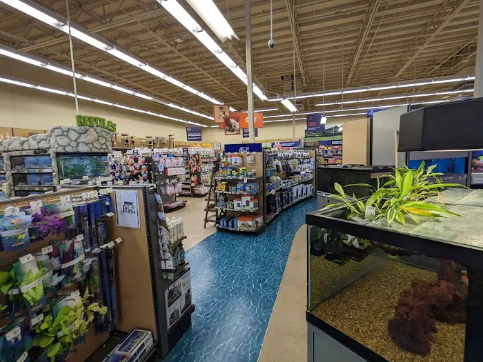 Petco Picture 8