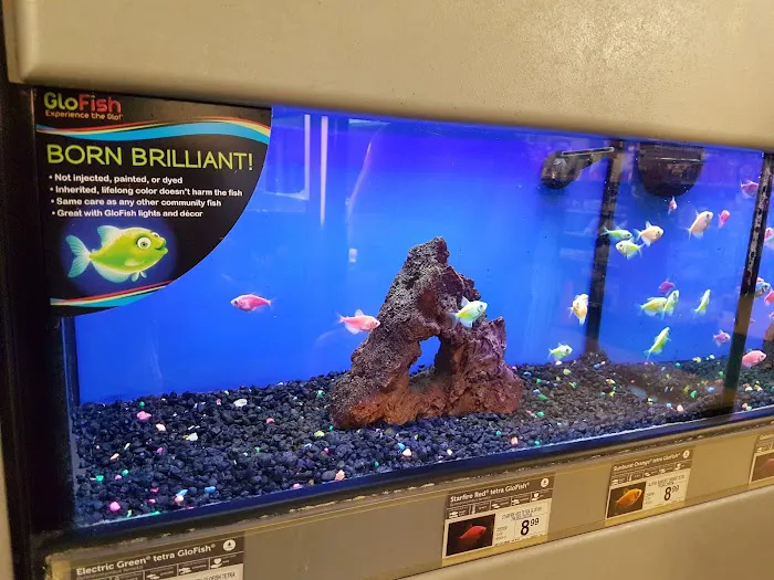 Petco Picture 6