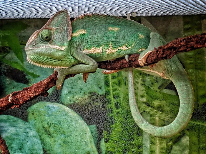 Petco Picture 7