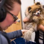 CVCA Cardiac Care For Pets