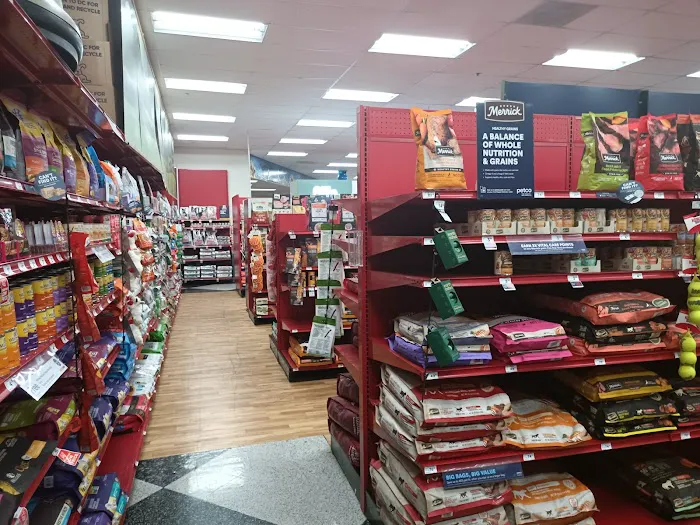 Petco Picture 1