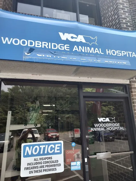 Woodbridge Animal Hospital: Shackelford Tonya DVM Picture 2