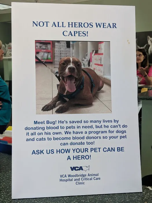 Woodbridge Animal Hospital: Shackelford Tonya DVM Picture 7