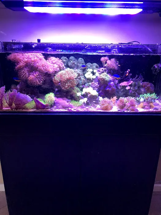 Zen Aquatics Picture 1