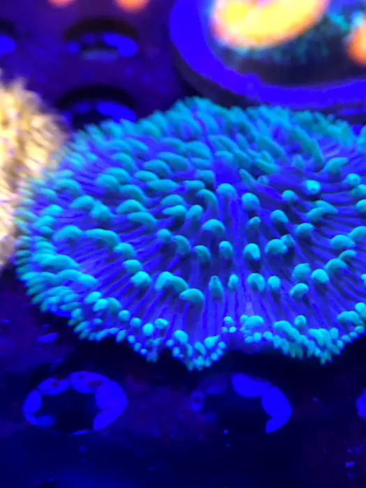 Zen Aquatics Picture 2