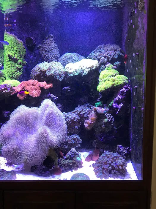 Zen Aquatics Picture 8