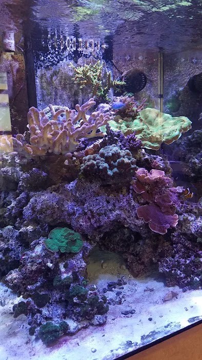 Zen Aquatics Picture 7