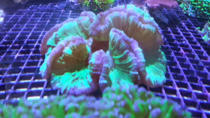 Zen Aquatics Picture 3