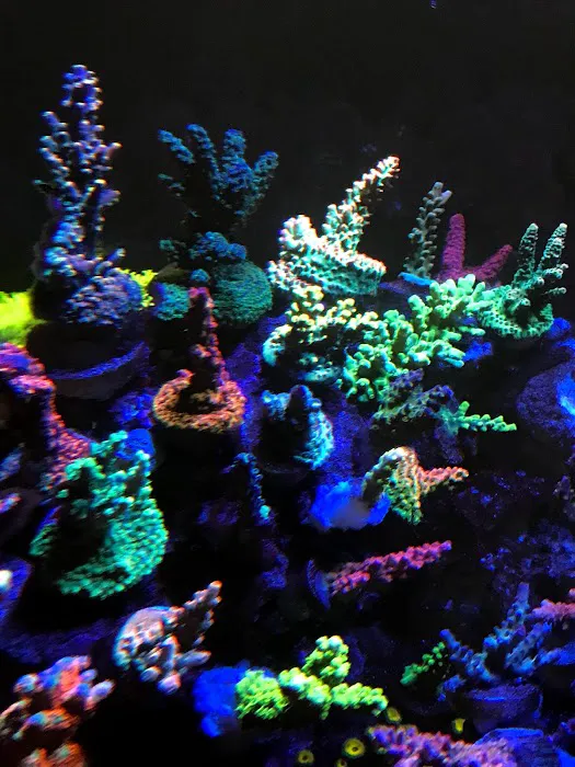 Zen Aquatics Picture 6