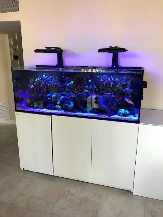 Zen Aquatics Picture 9