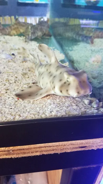 Zen Aquatics Picture 4