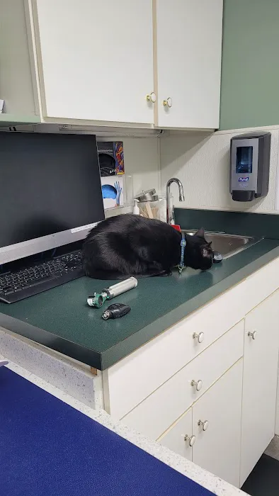 VCA Woodbridge Animal Hospital Picture 2