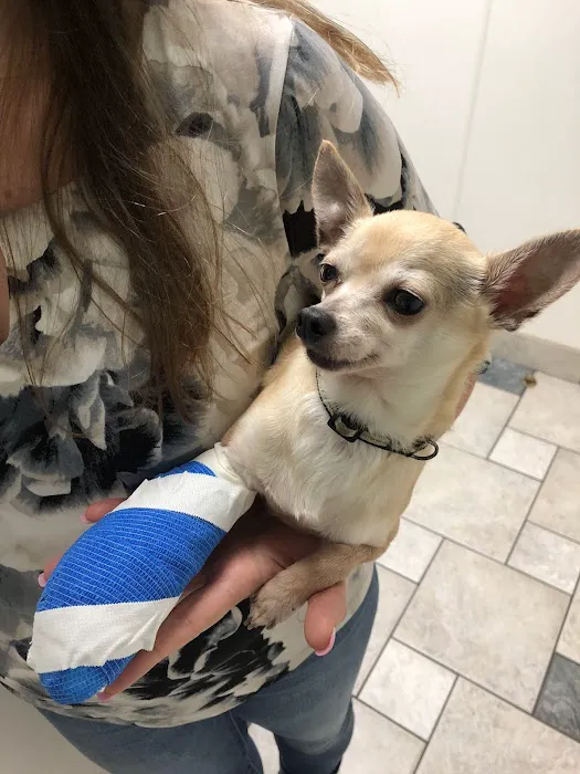 VCA Woodbridge Animal Hospital Picture 5