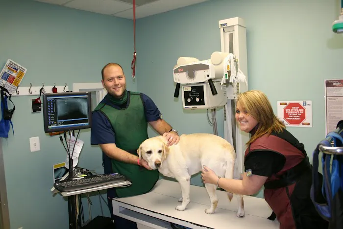 VCA Woodbridge Animal Hospital Picture 9