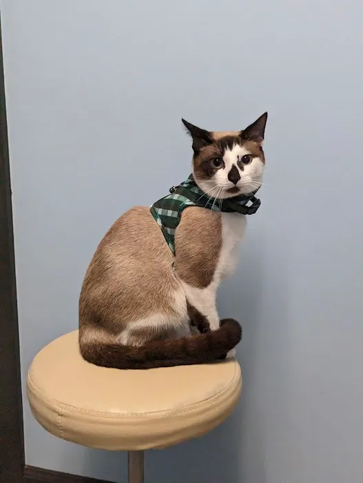 Davis Ford Animal Hospital Picture 2
