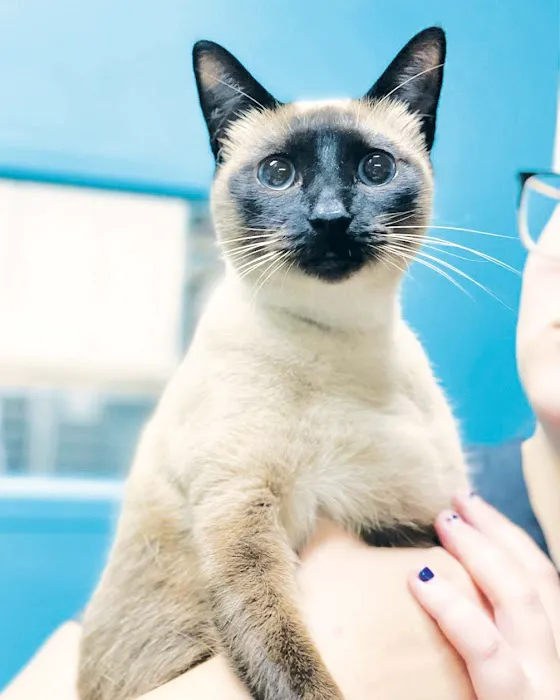 Minnieville Animal Hospital Picture 4