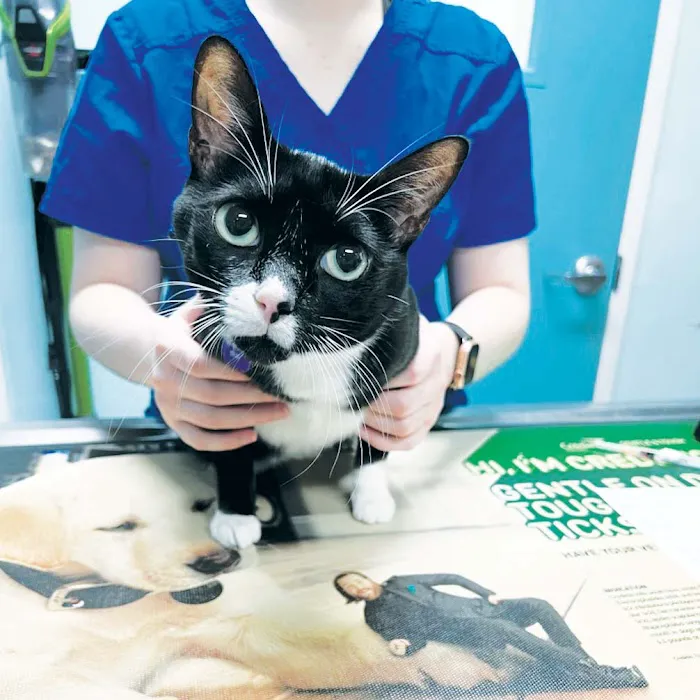 Minnieville Animal Hospital Picture 7