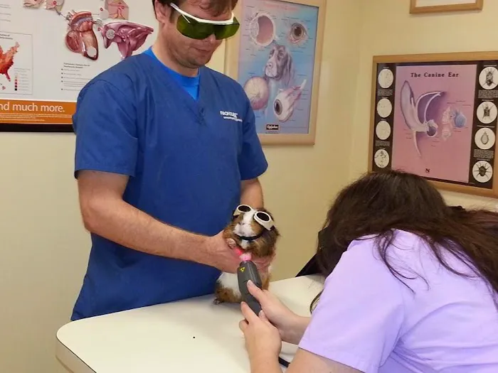 Minnieville Animal Hospital Picture 3
