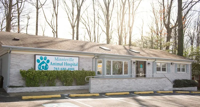 Minnieville Animal Hospital Picture 2