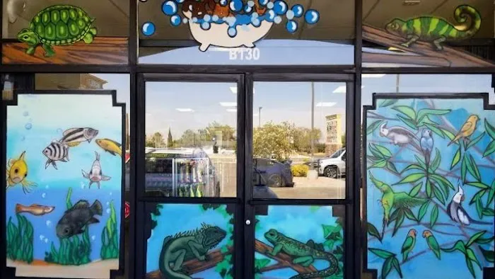 Wow Fish and Pet ( Aquarium ) Picture 4