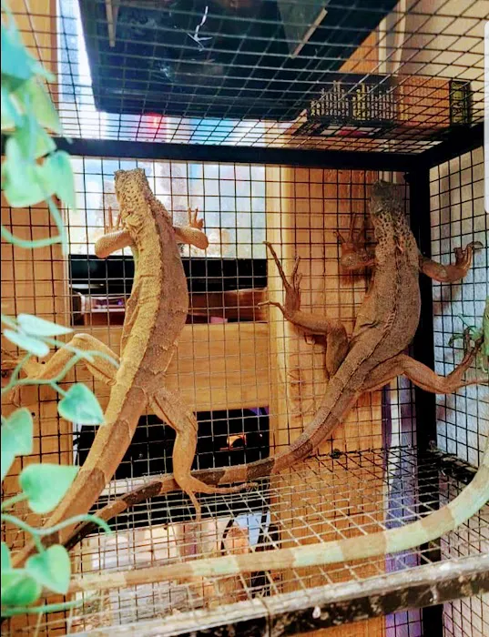 Wow Fish and Pet ( Aquarium ) Picture 5