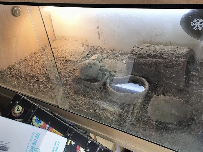Wow Fish and Pet ( Aquarium ) Picture 6